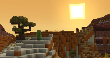 Arid Grasslands