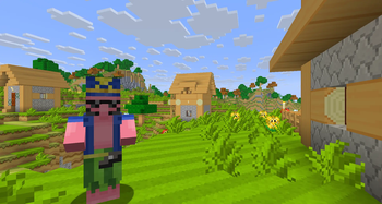 Village
