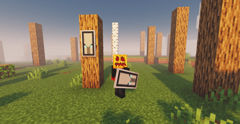 shield