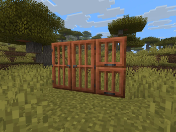 Acacia - After