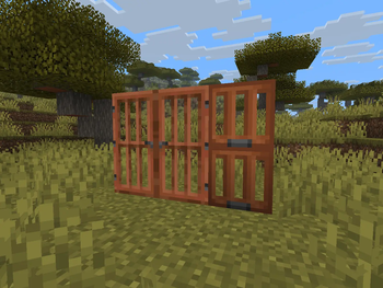 Acacia - Before