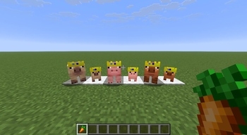 All pig models - 26.1+