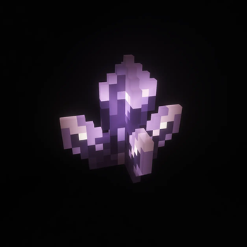 Amethyst Cluster