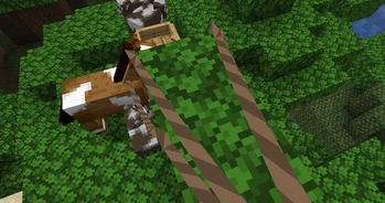 Block Collision