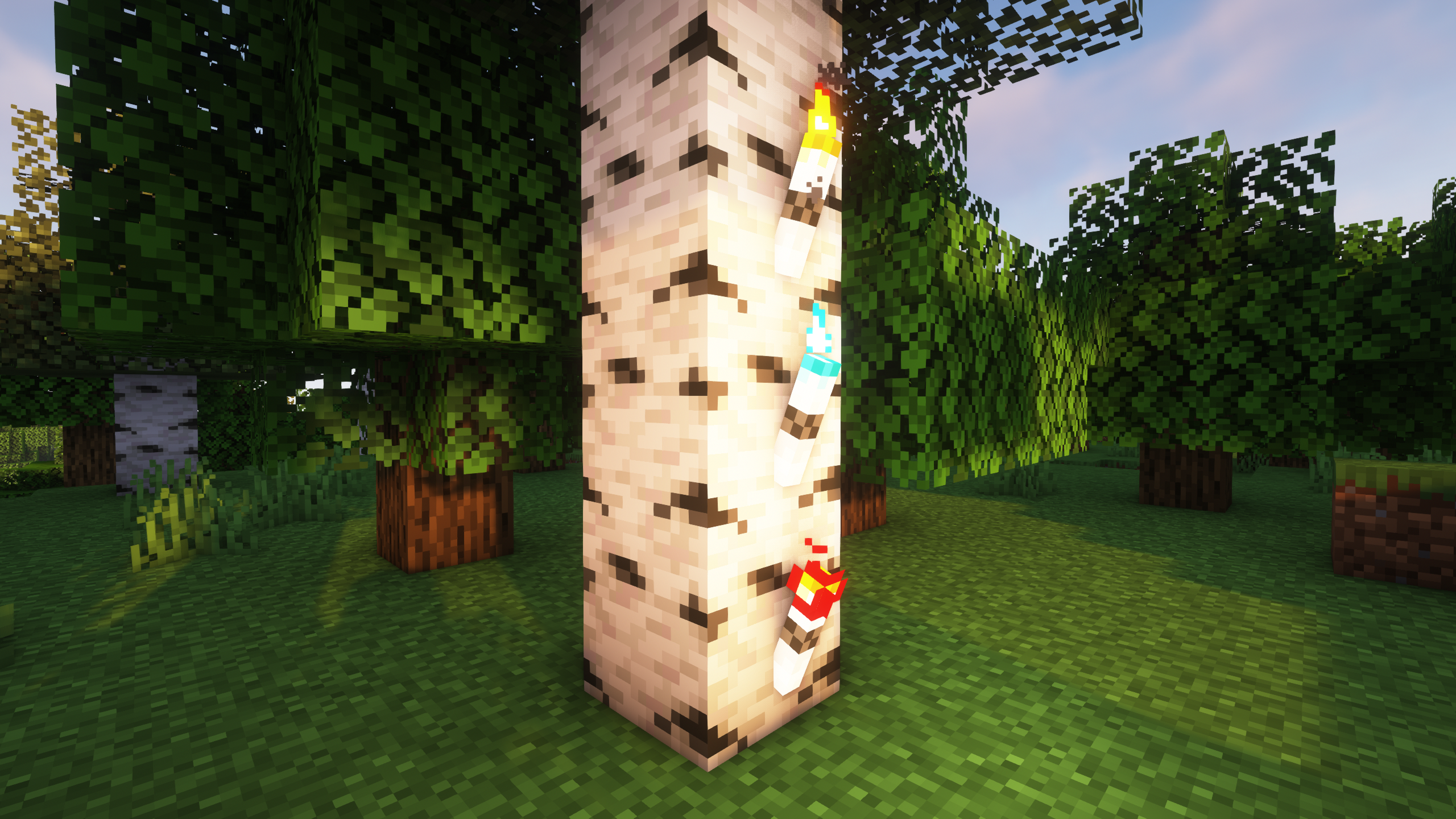 MORE BEAUTIFUL TORCHES IMAGE 3