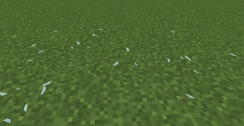 Glass shards