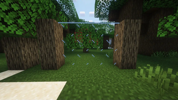 Neat looking glass panes!