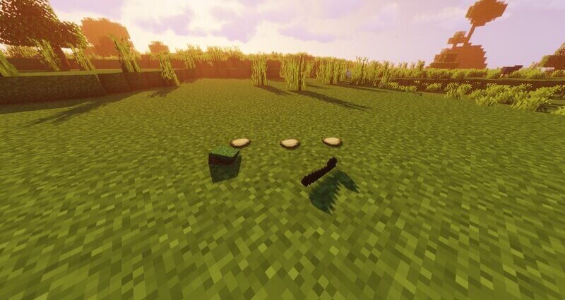 Some items on the ground
