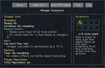 Inspection Window
