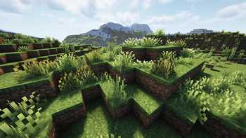 Grasses on Mountain