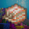 Cube Nautilus Shell