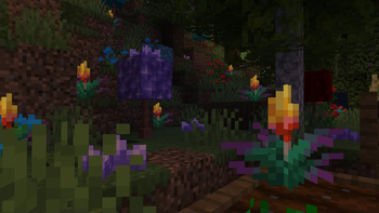 Glowing Torchflowers