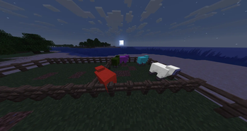 Sheep