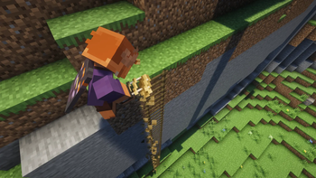 Rope Ladder