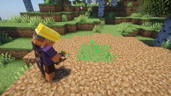 Grass Starter