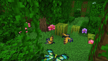 Butterflies