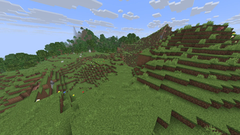 Plains