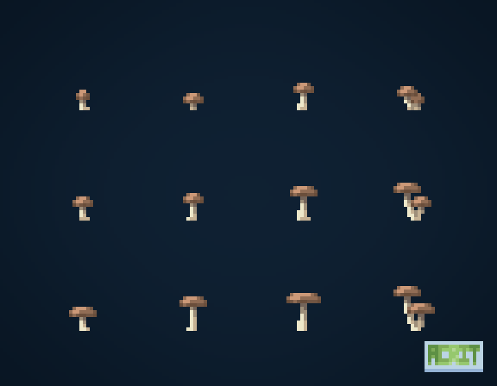 All Mushrooms & Fungus