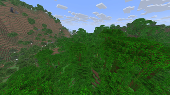 Jungle