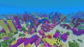 Warm Ocean