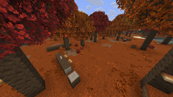 Dapple Forest