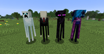 Fresh Nametag-only variants