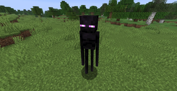 Fresh Normal Enderman