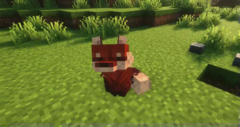 why do u lookin at me