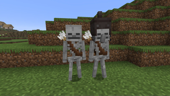 Normal and Villager Skeletons