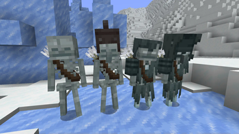 Snowy Skeletons and Strays