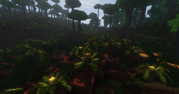 Some Prehistoric Cycads