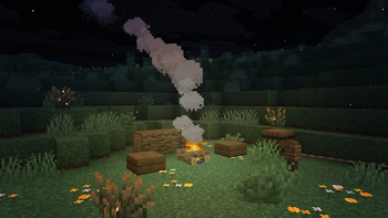 Campsite
