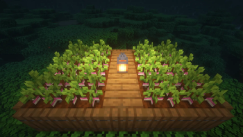 New Turnip Crop