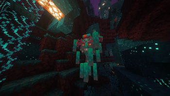 Warped Forest