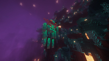 Warped Forest