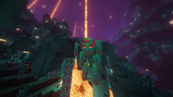 Warped Forest