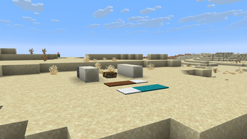 Surface desert fossils