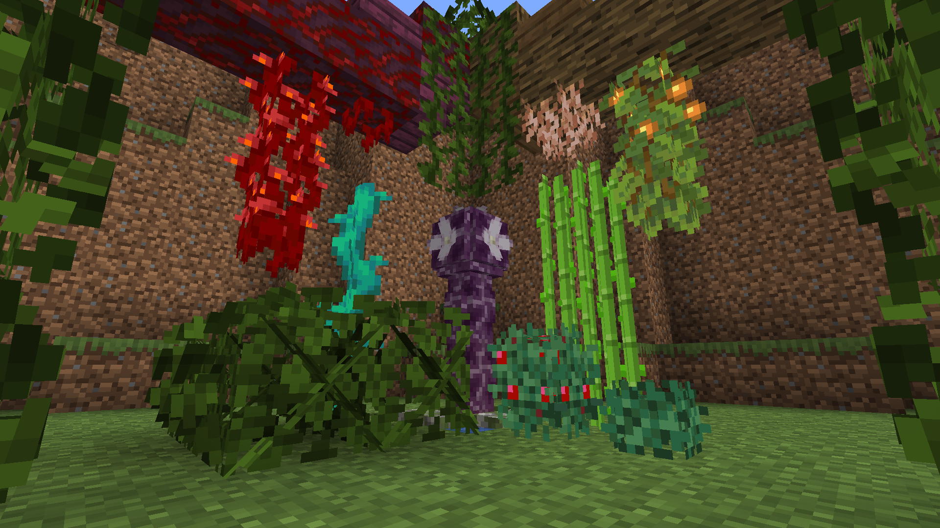 Bushy leaves, vines, and more placed at the foot of a hill
