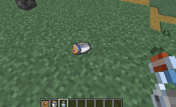 Invisible Item Frame