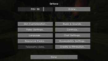 Options Menu