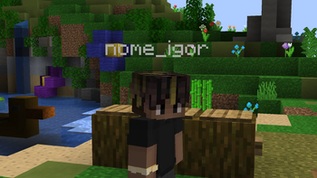 Another example With Resource-Pack