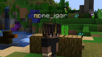 Another example Without Resource-Pack