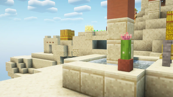 Cactus by the Well