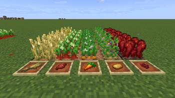 Flowering Crops Growth Marker