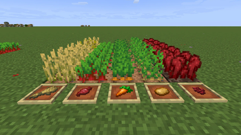 Vanilla Crops