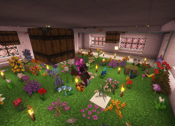 Catch Butterflies and Moths!