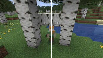 Self Nameplate & Nameplate Shadow & Nameplate Physics