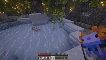 First Person with a Variant