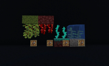 Banner image