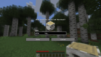 Renaming an item